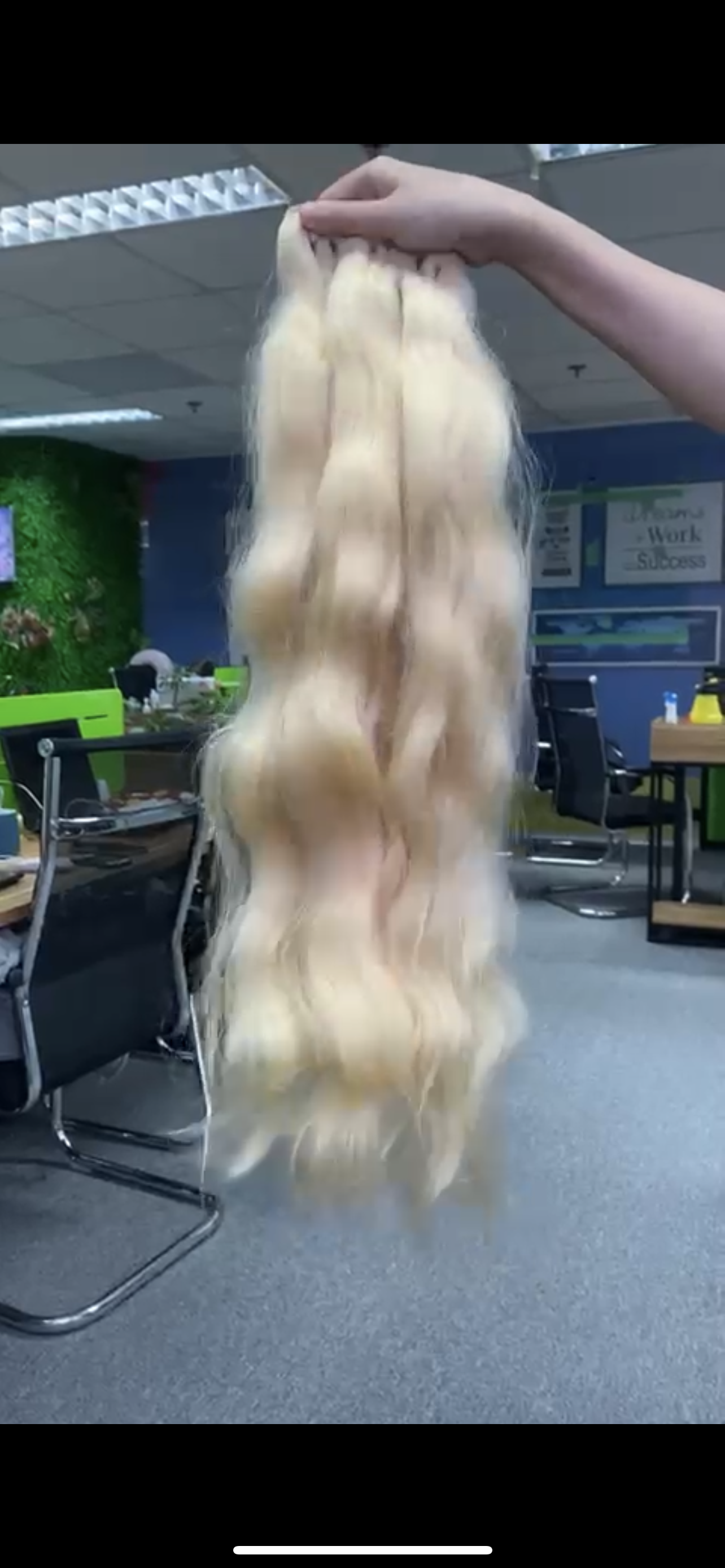 Vietnamese 613 Bundles